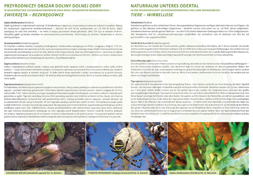 flyer72
